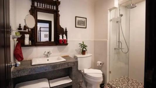 Mane Colonial Classic - 7