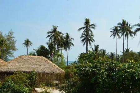 Tamu Koh Rong - 64