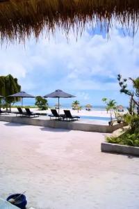 The Secret Garden Koh Rong - 102