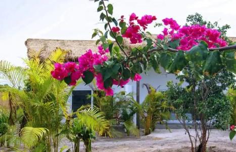 The Secret Garden Koh Rong - 78