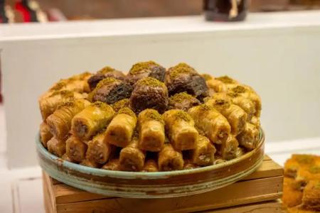 AQI Pegasos Royal - 28