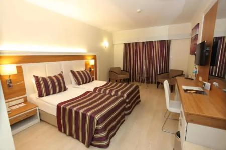 AQI Pegasos Royal - 17