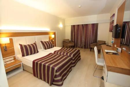 AQI Pegasos Royal - 52