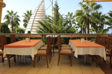 AQI Pegasos Royal - 49