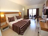 Standard room with land view