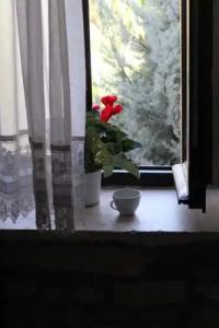 1870's Taş Konak Garden - 33