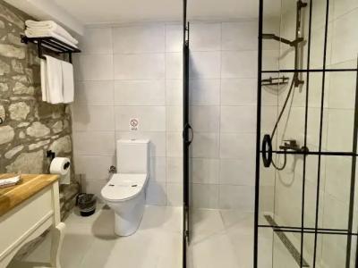 1870's Taş Konak Garden - 9