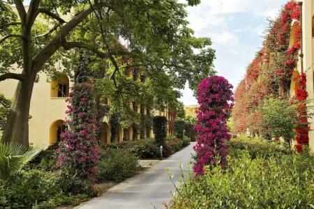 TUI MAGIC LIFE Calabria - 15