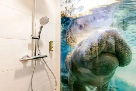 Best Western Wiesbaden - 44