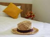 Standard Double room with balcony and with city view