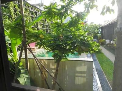 Baan Saen Fang Chiang Mai - SHA Plus - 150