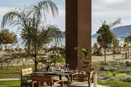 Domes Aulūs Zante, Autograph Collection - 34