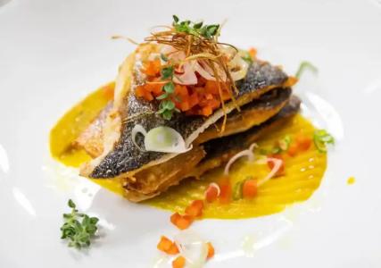 White Olive Elite Laganas - 20