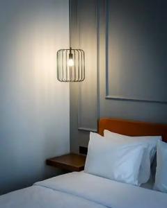 Boscovich Boutique - 12