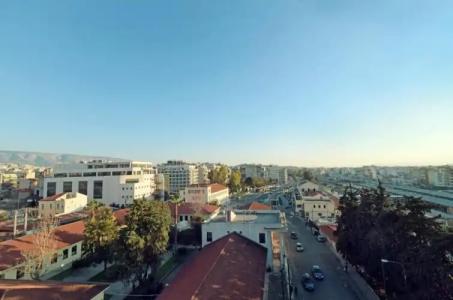 Athens Iris - 10