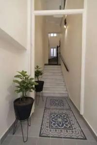 Athens Market Portrait - 18