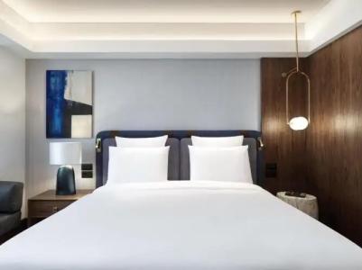 Athens Capital Center - MGallery Collection - 113