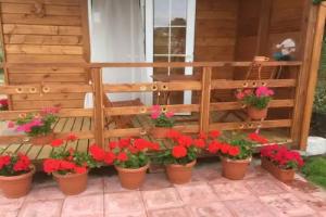 Otdykh Na Kurshskoy Kose Guest House