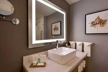 Radisson Atlanta Airport - 53