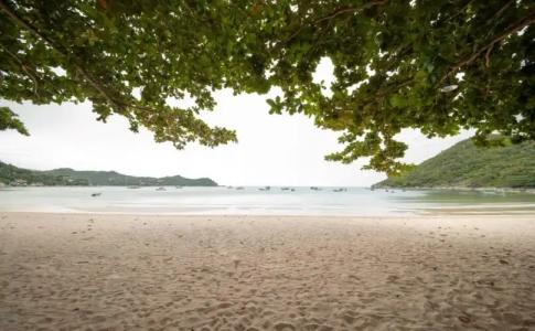 Thong Nai Pan Beach Residence - 8