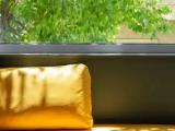 Business Single room