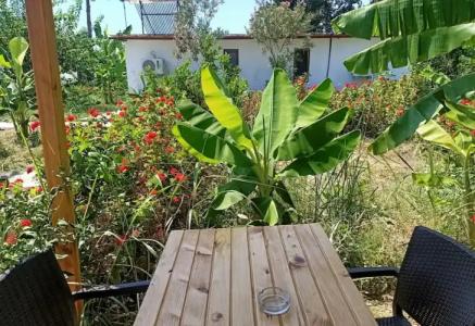 Kiriş Garden - 49