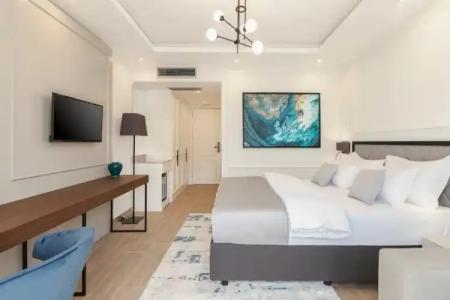 Boutique Momentum by Aycon - 164