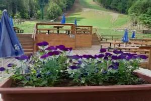 Ski Park Kartala Hotel