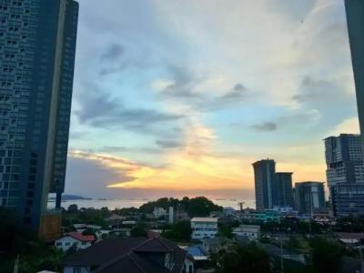 Horsehill Sriracha - 33