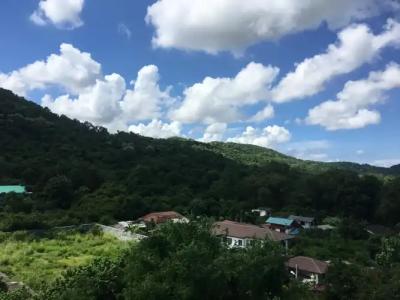 Horsehill Sriracha - 14