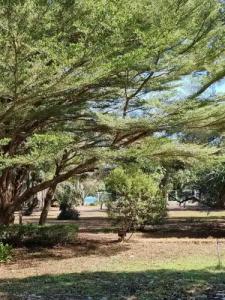 Phayam Cottage Resort - 12