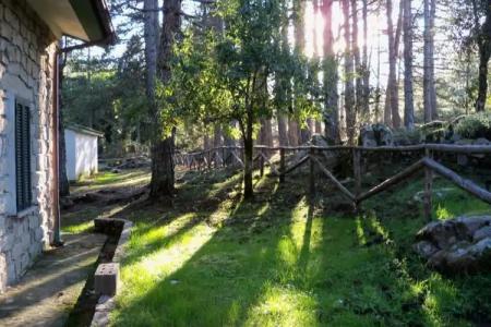 Vallicciola Nature - 46