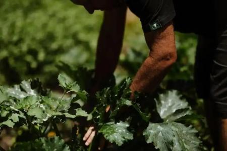 Vallicciola Nature - 20