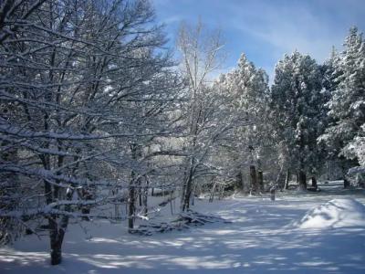 Vallicciola Nature - 24