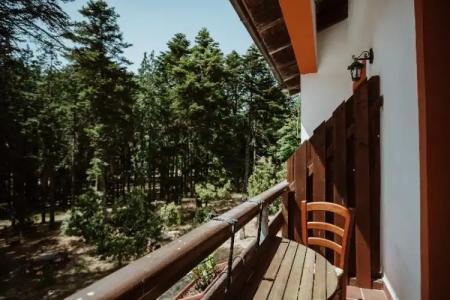 Vallicciola Nature - 99