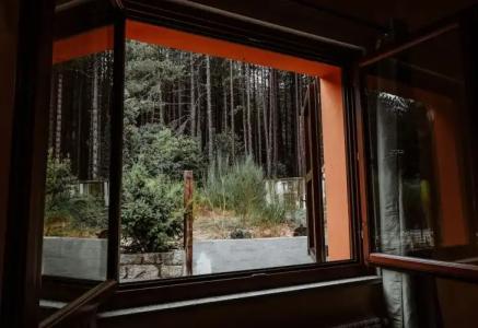 Vallicciola Nature - 50