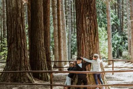 Vallicciola Nature - 18