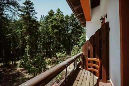 Vallicciola Nature - 66