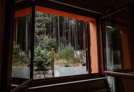 Vallicciola Nature - 6