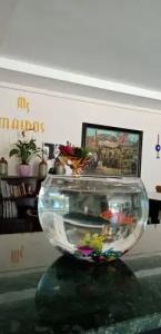 Maidos & Suites - 22