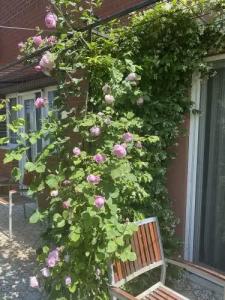 OFURO WORLD SPA - 88