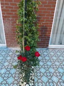 OFURO WORLD SPA - 98