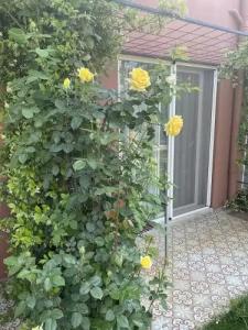 OFURO WORLD SPA - 86