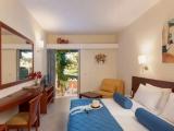 Standard (not renovated) Double room with garden view