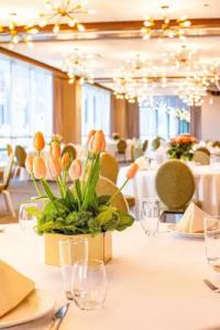 Sable At Navy Pier Chicago, Curio Collection By Hilton - 6