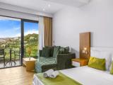 Superior Double room with garden view