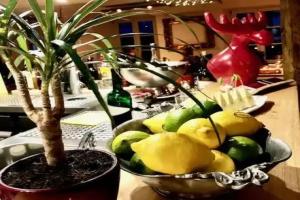 Adler 1604 Boutique Hotel mit Restaurant im Schwarzwald, Schiltach