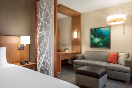 Hyatt Place Virginia Beach Town Center - 58