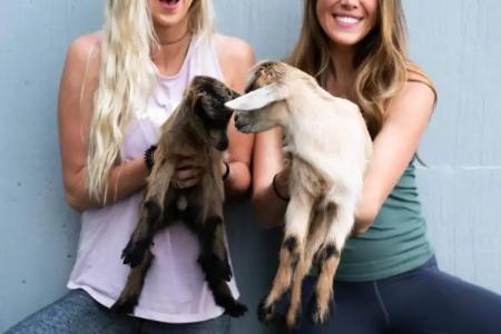 JW Marriott Nashville - 30