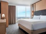 Executive Double Suite